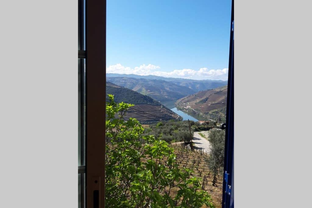 Encosta Do Pinhao Villa Casal de Loivos Dış mekan fotoğraf
