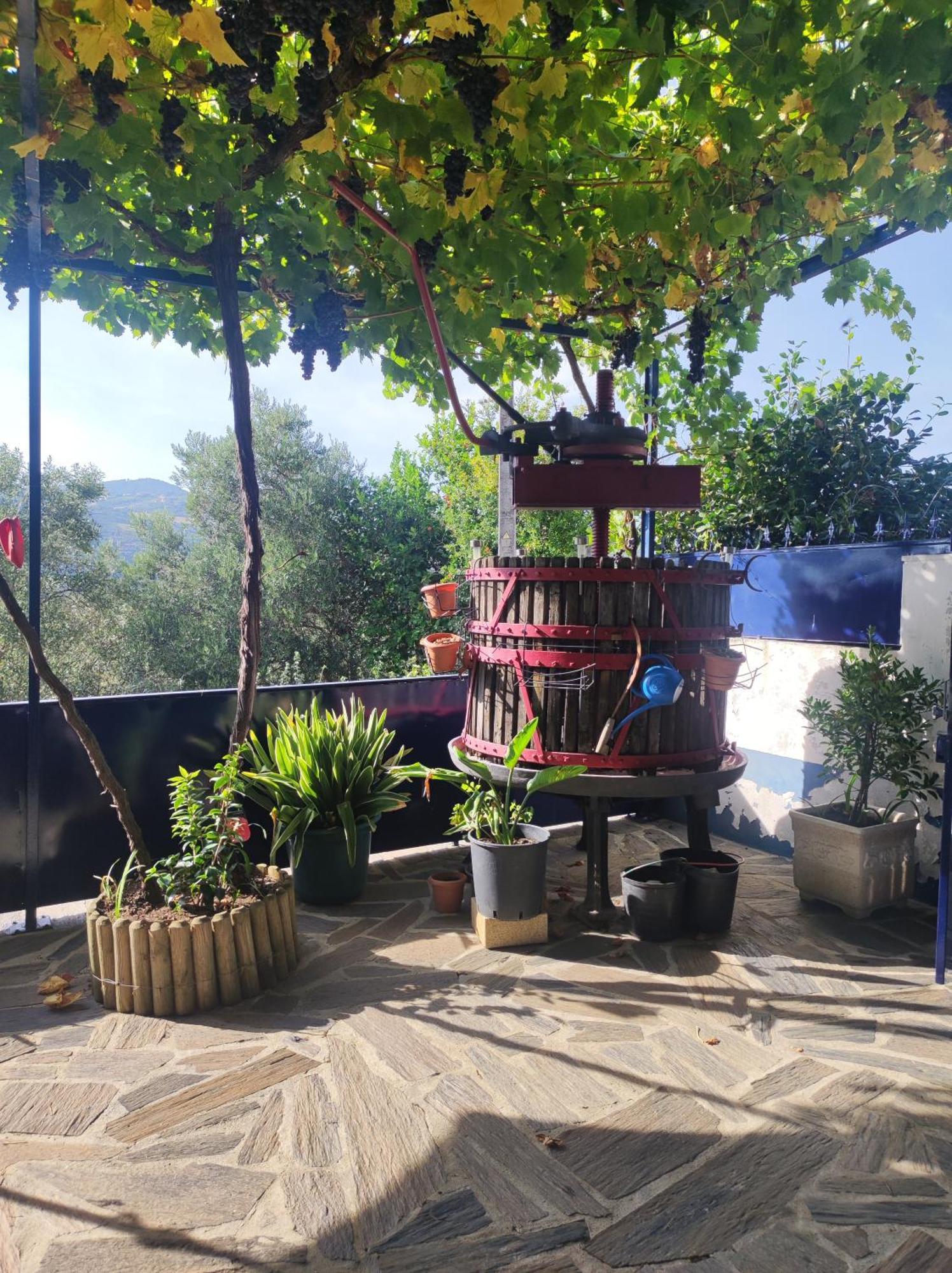 Encosta Do Pinhao Villa Casal de Loivos Dış mekan fotoğraf
