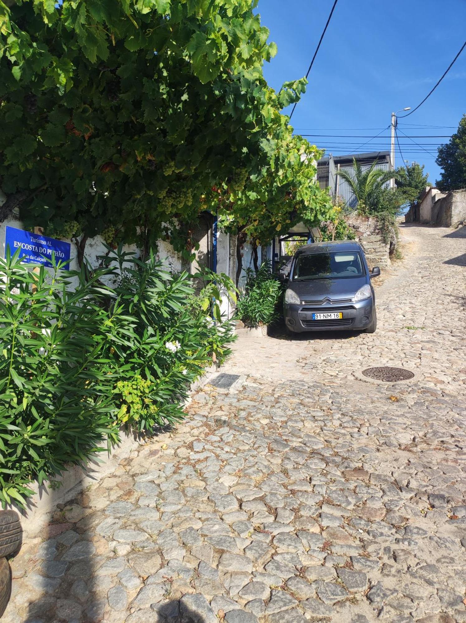 Encosta Do Pinhao Villa Casal de Loivos Dış mekan fotoğraf